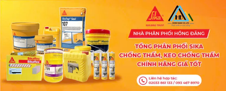 65f2e2213a318a6fd320