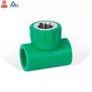 Cút T Ren Trong Ppr