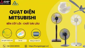 Bóng đèn Tạng đông Quảng Ninh