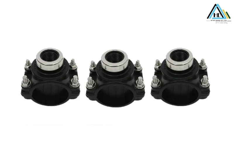 Các hình thức phân loại đai khởi thuỷ