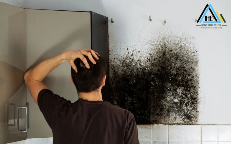 Cach Sua Duong Ong Nuoc Am Tuong Bi Ro Ri (2)