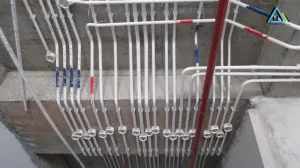 Co Nen Di Day Dien Trong Ong Gen